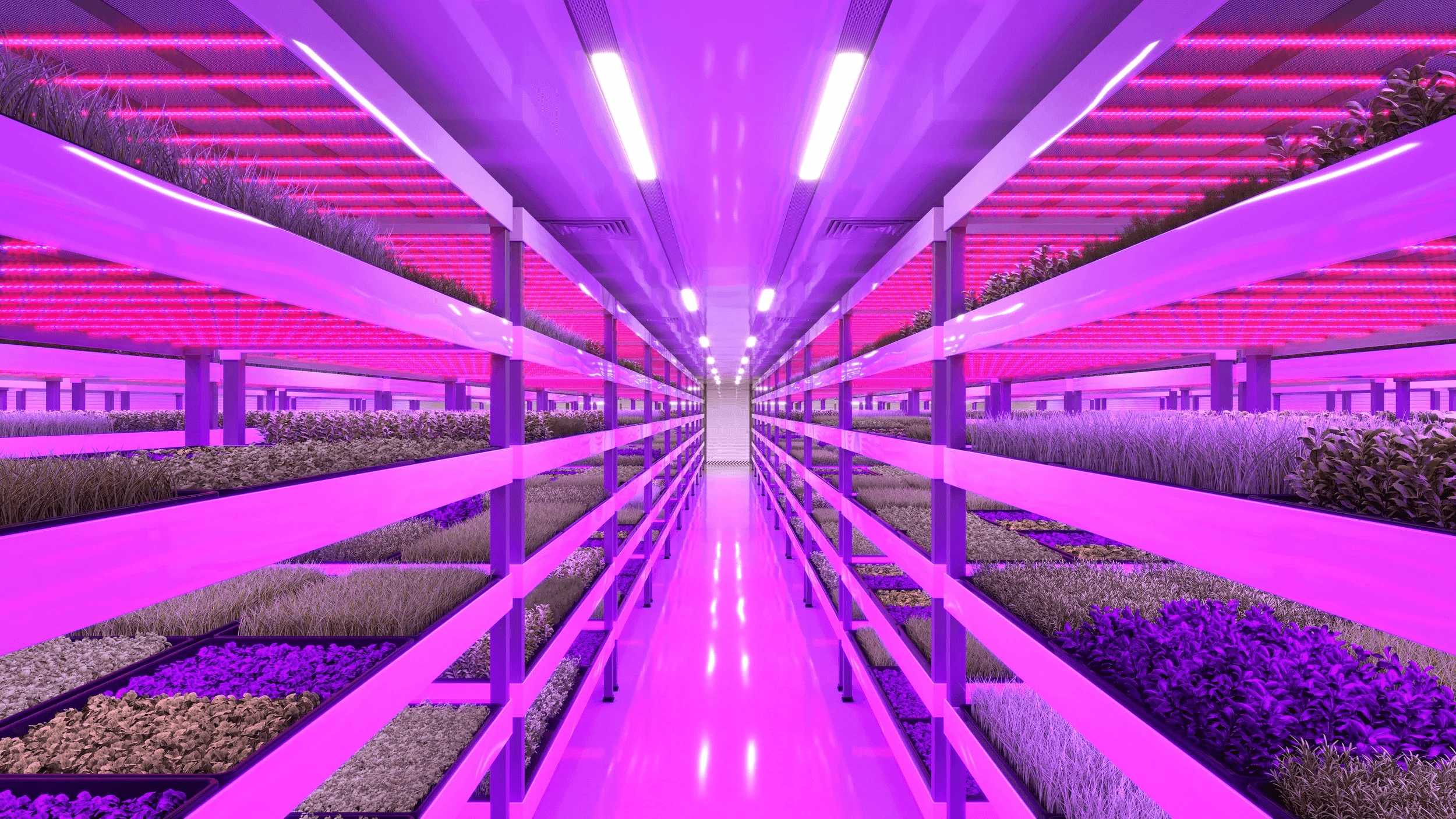 Controlled Environment Agriculture